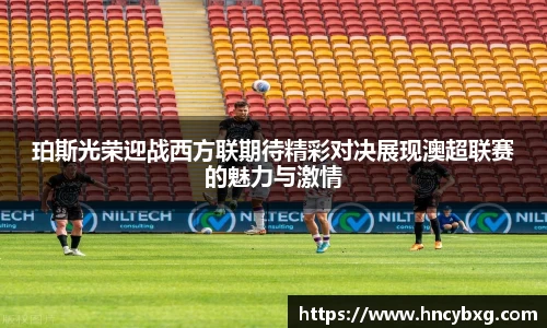 3377体育官网