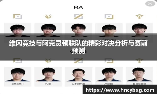 3377体育官网