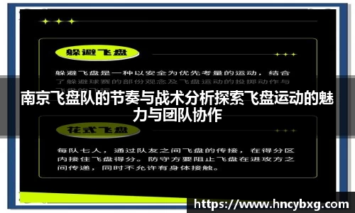3377体育官网